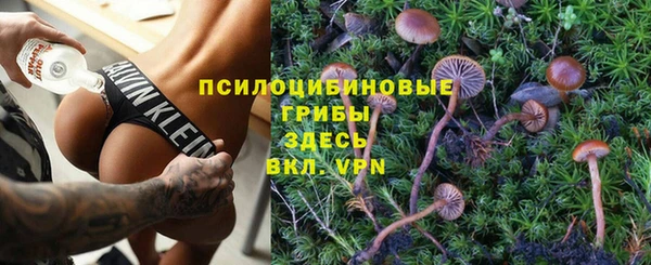 ECSTASY Абаза