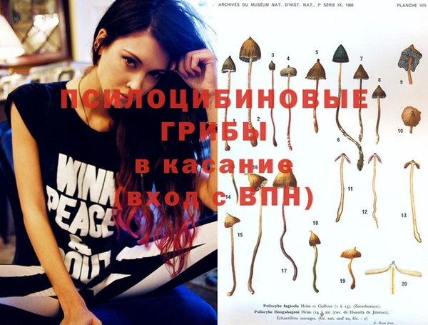 дурь Абинск