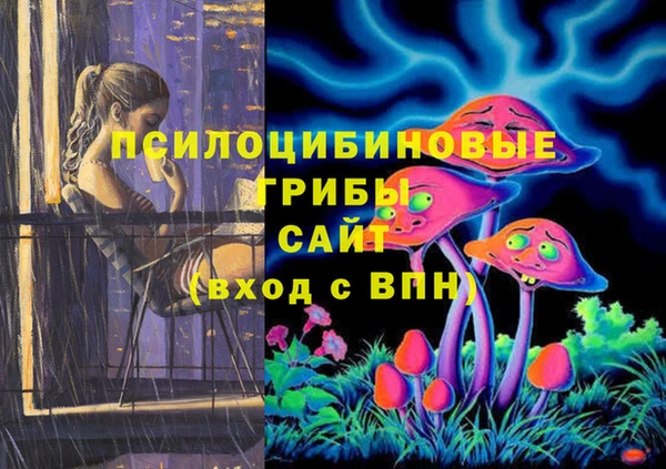таблы Саяногорск