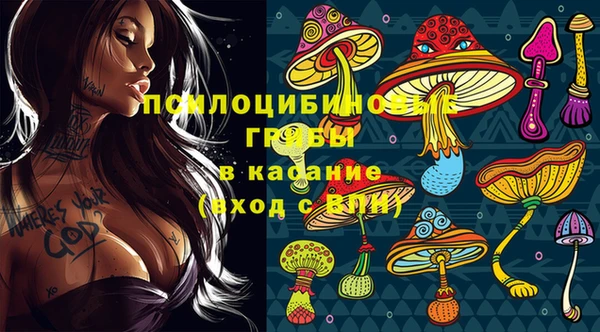 дурь Абинск