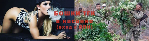 ECSTASY Абаза