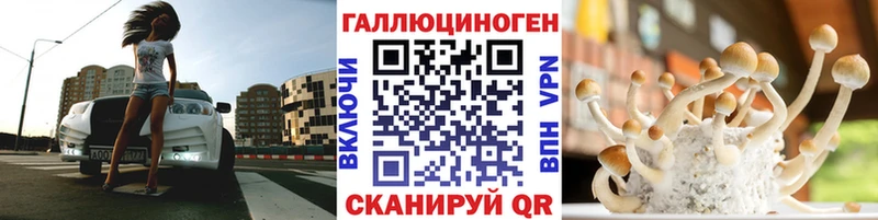 блэк спрут   Ишимбай  Псилоцибиновые грибы Psilocybine cubensis 